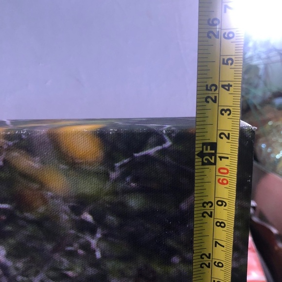 Lion On Canvas. 18” X24” - Picture 4 of 5